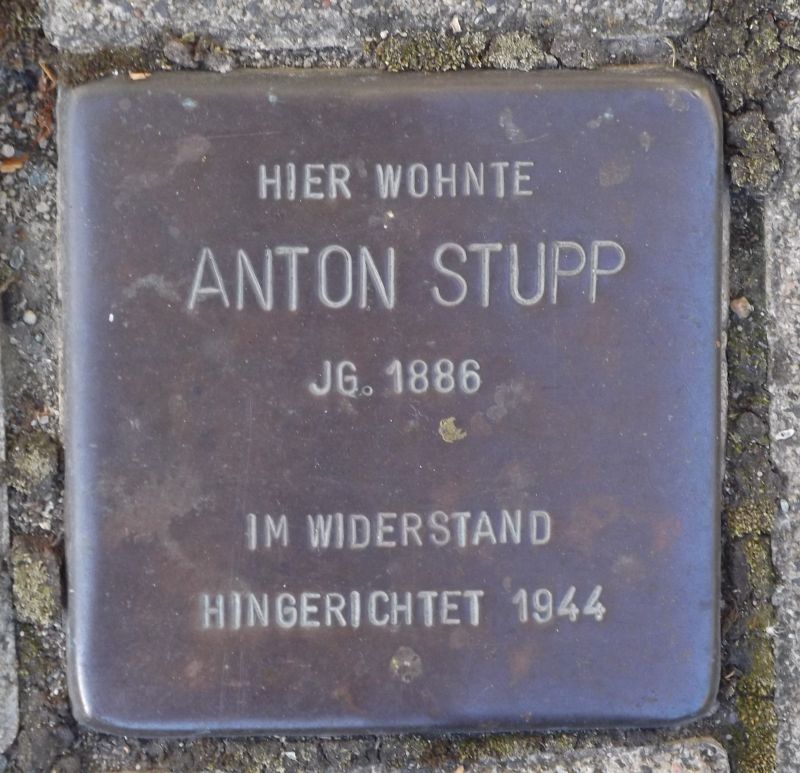Stupp, Anton