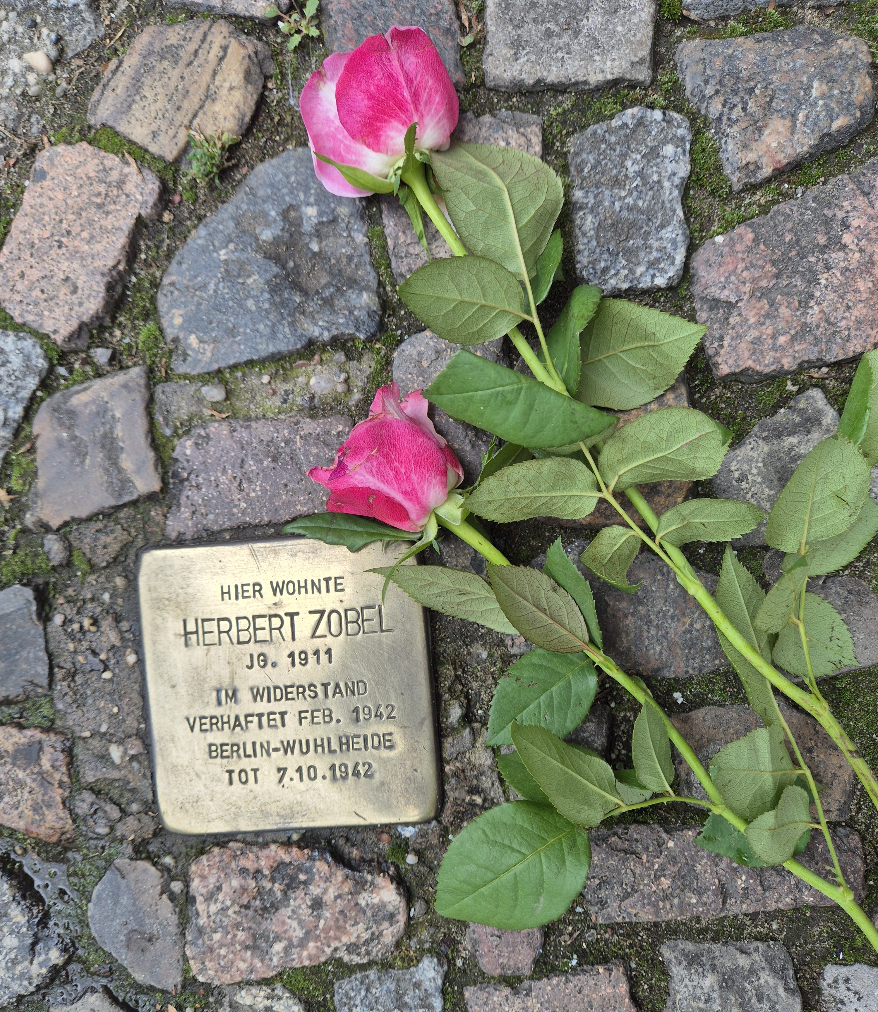 Zobel, Herbert